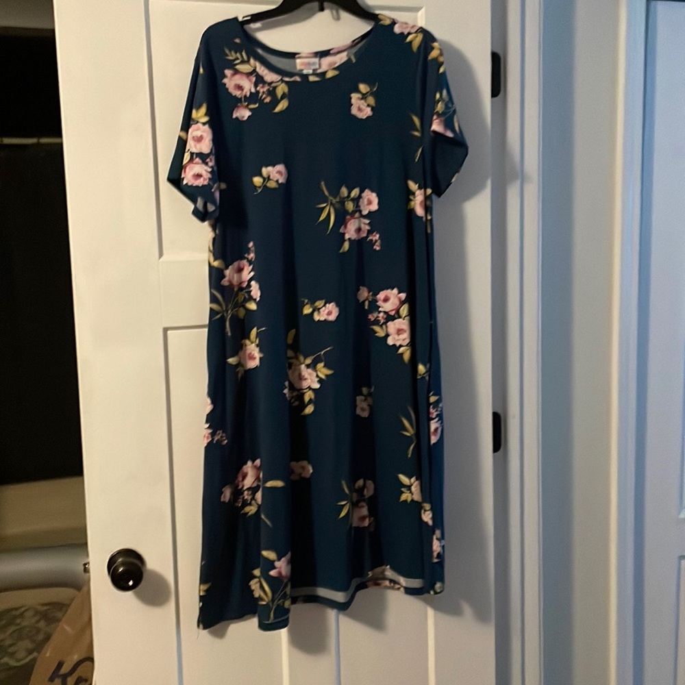 2XL Jessie with pockets Floral dress NWOT NEVER WORN